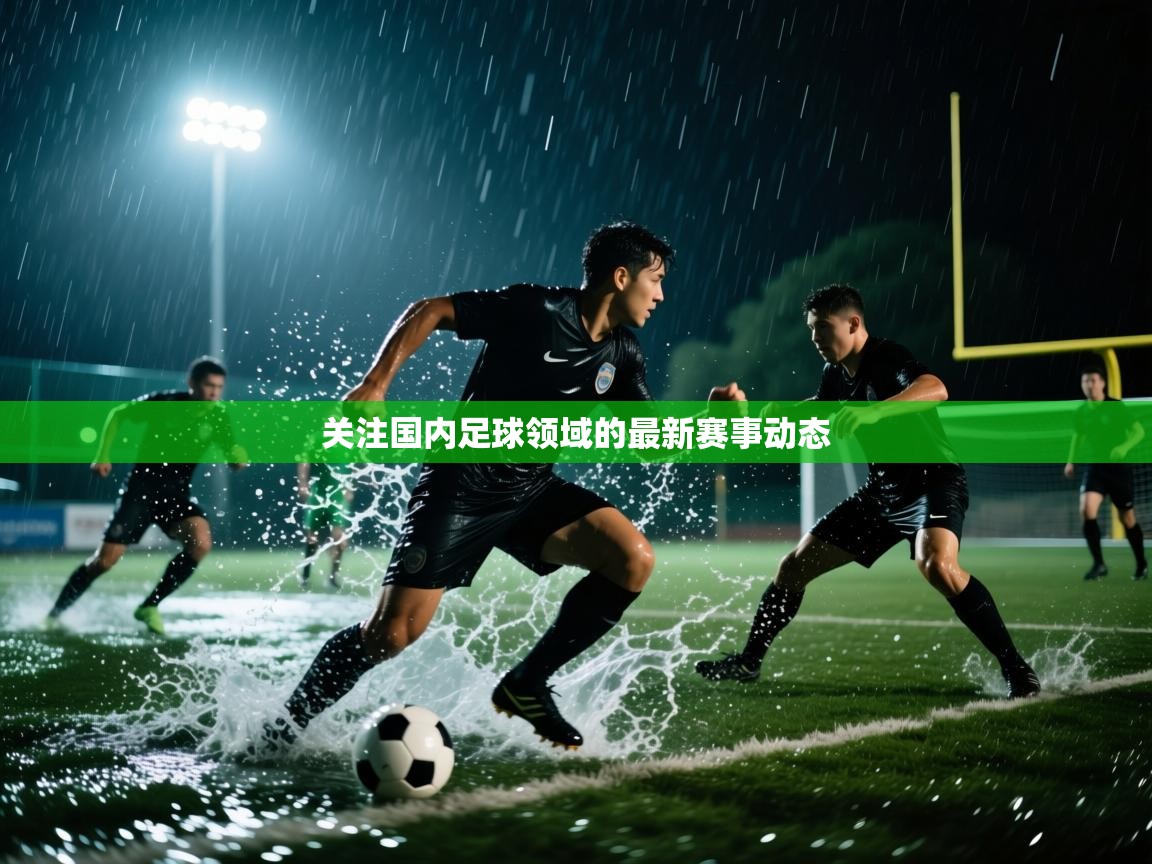 云开体育app网页版入口-关注国内足球领域的最新赛事动态