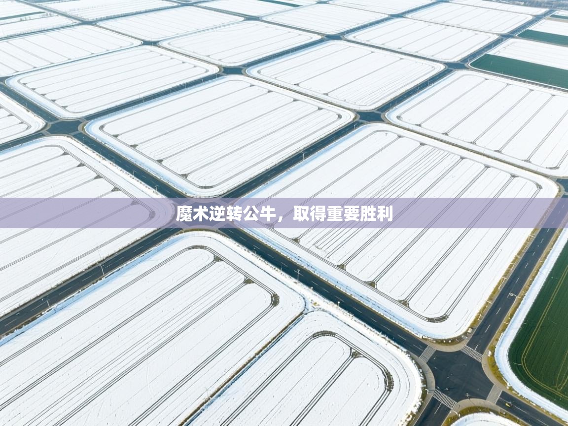 开云体育旧版下载地址-魔术逆转公牛，取得重要胜利