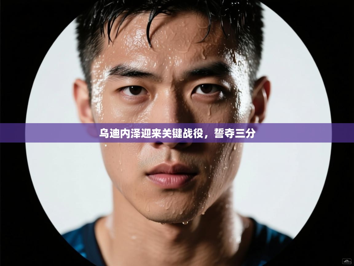 开云体育苹果版下载-乌迪内泽迎来关键战役，誓夺三分