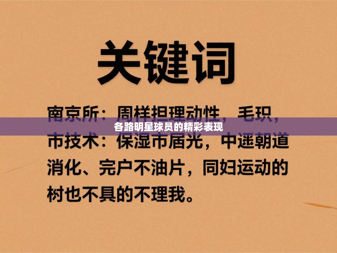 开云体育PC版网页版登录-各路明星球员的精彩表现